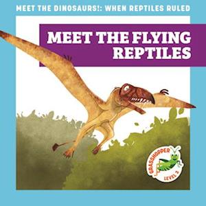 Meet the Flying Reptiles