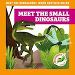 Meet the Small Dinosaurs