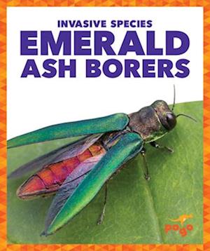 Emerald Ash Borers