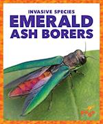 Emerald Ash Borers