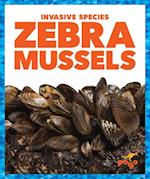 Zebra Mussels