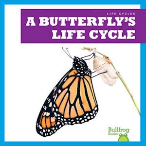 A Butterfly's Life Cycle