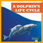 A Dolphin's Life Cycle
