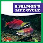 A Salmon's Life Cycle