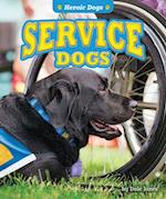 Service Dogs