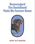 Beauxregard The Dachshund Finds His Forever Home