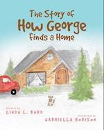 Story of How George Finds a Home