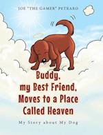 Buddy, my Best Friend, Moves to a Place Called Heaven