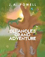 Oli Anole's Grand Adventure 