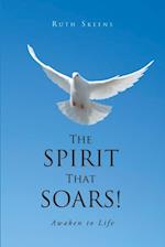 Spirit that Soars