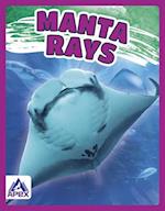 Manta Rays