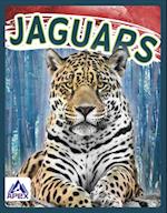 Jaguars