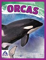 Giants of the Sea: Orcas