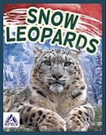 Snow Leopards