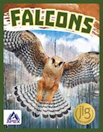 Falcons