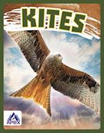 Kites