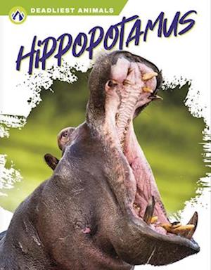 Hippopotamus