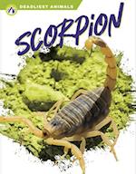 Deadliest Animals: Scorpion