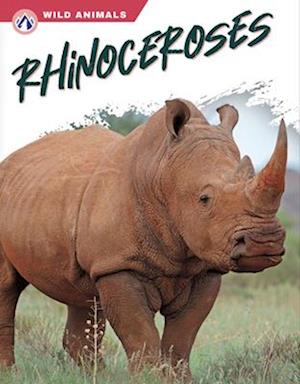 Rhinoceroses