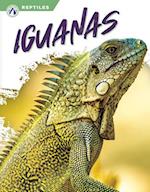 Iguanas