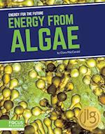 Energy from Algae