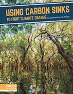 Fighting Climate Change With Science: Using Carbon Sinks to Fight Climate Change