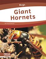 Giant Hornets