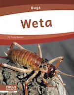 Weta