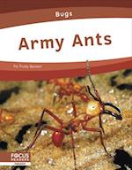 Army Ants