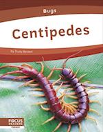 Centipedes