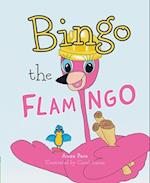 Bingo the Flamingo