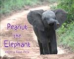 Peanut the Elephant