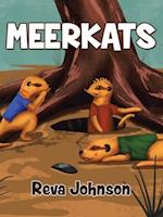 Meerkats 