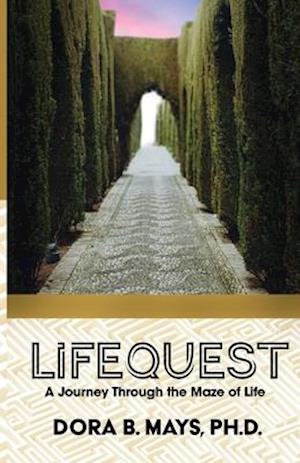 LifeQuest: A Journey Through the Maze of Life