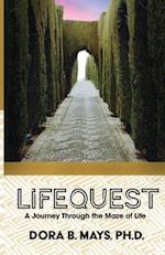 LifeQuest: A Journey Through the Maze of Life 