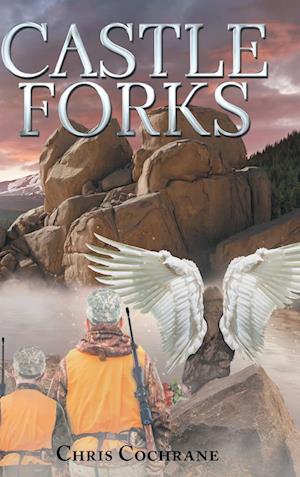 Castle Forks