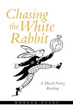 Chasing the White Rabbit