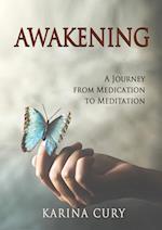 AWAKENING: A Journey from Medication to Meditation 