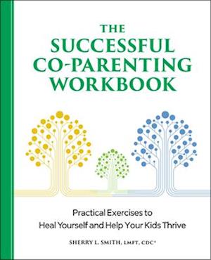 The Successful Co-Parenting Workbook