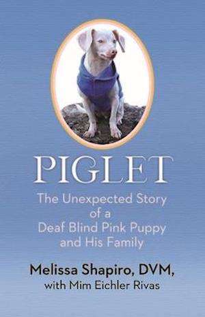 Piglet