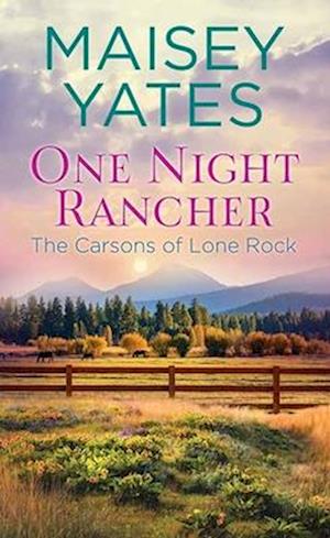 One Night Rancher