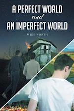 A Perfect World and An Imperfect World 