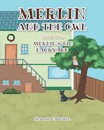 Merlin and the Owl