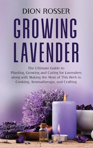 Growing Lavender