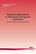 Bayesian Approaches to Shrinkage and Sparse Estimation 