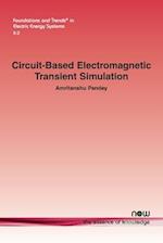 Circuit-based Electromagnetic Transient Simulation 