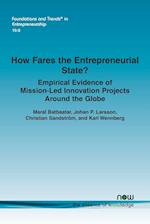 How Fares the Entrepreneurial State? Empirical Evidence of Mission-Led Innovation Projects Around the Globe