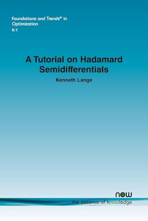 A Tutorial on Hadamard Semidifferentials