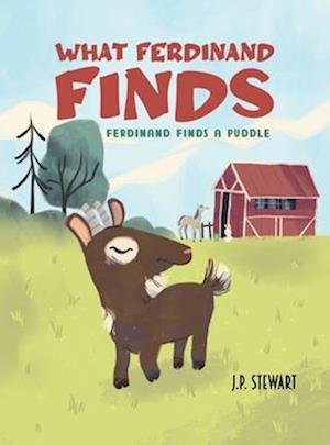 What Ferdinand Finds