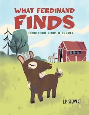 What Ferdinand Finds